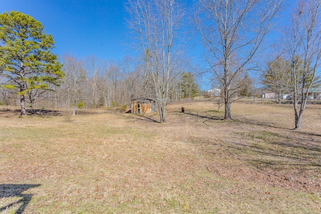 view of yard featuring a shed and an outbuilding