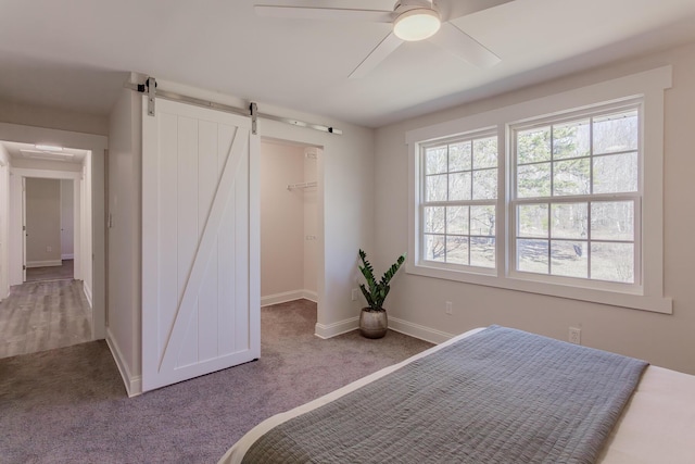 bedroom featuring a barn door, carpet flooring, a spacious closet, and multiple windows