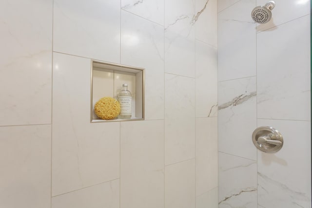 interior details with tiled shower