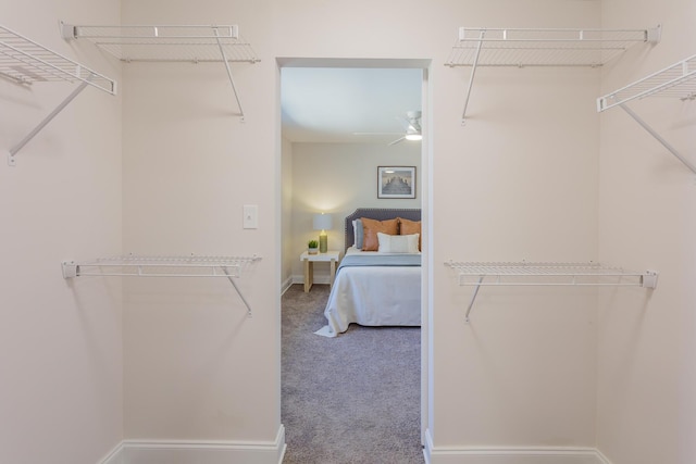 walk in closet with a ceiling fan and carpet