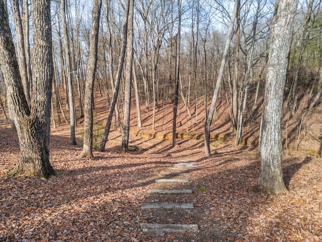 view of local wilderness