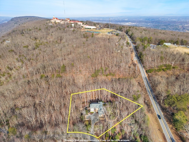 birds eye view of property featuring a mountain view