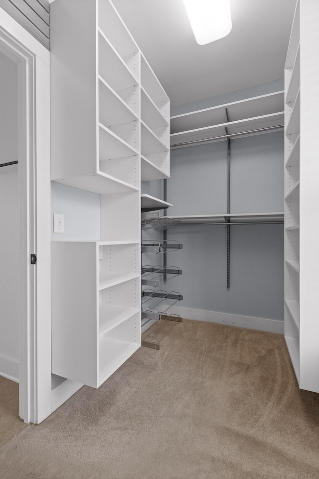 spacious closet featuring carpet flooring