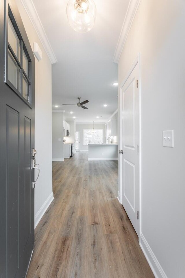 186 Andros Dr Unit 20D, Dalton, GA 30721 - entrance foyer featuring hardwood / wood-style flooring, ceiling fan, and ornamental molding