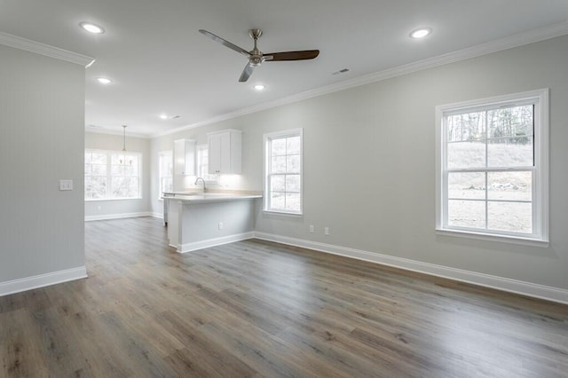 186 Andros Dr Unit 20D, Dalton, GA 30721 - unfurnished living room with ceiling fan, crown molding, and dark hardwood / wood-style floors