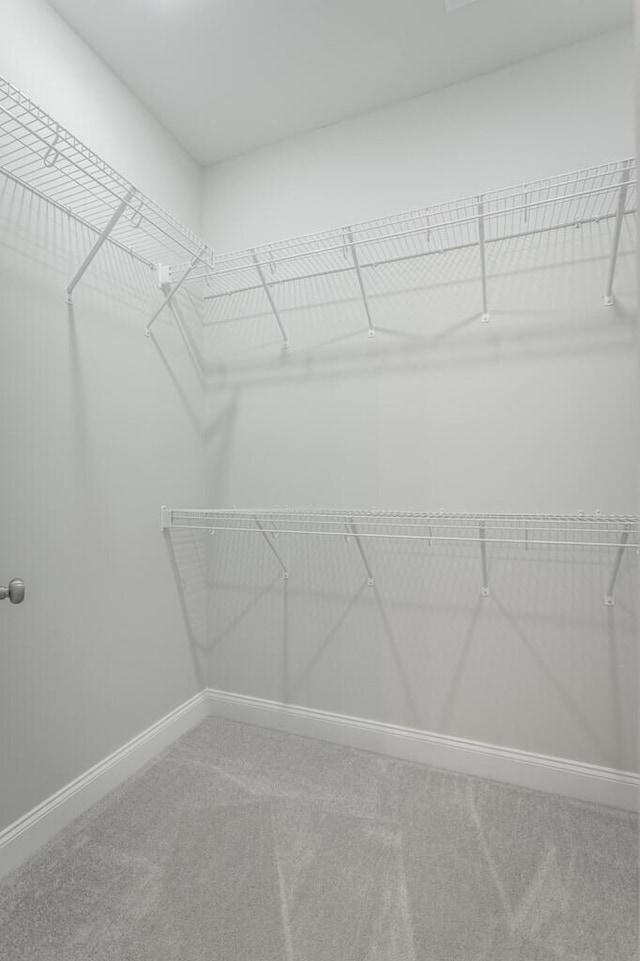186 Andros Dr Unit 20D, Dalton, GA 30721 - walk in closet featuring carpet