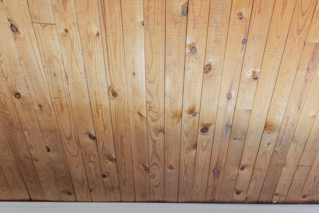 interior details featuring wood walls