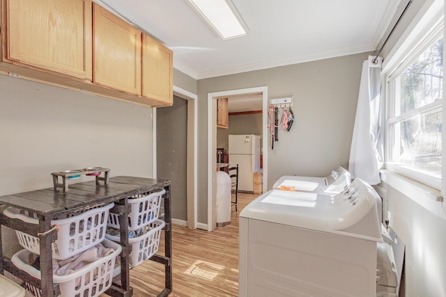 laundry room with washing machine and dryer, baseboards, cabinet space, light wood finished floors, and crown molding