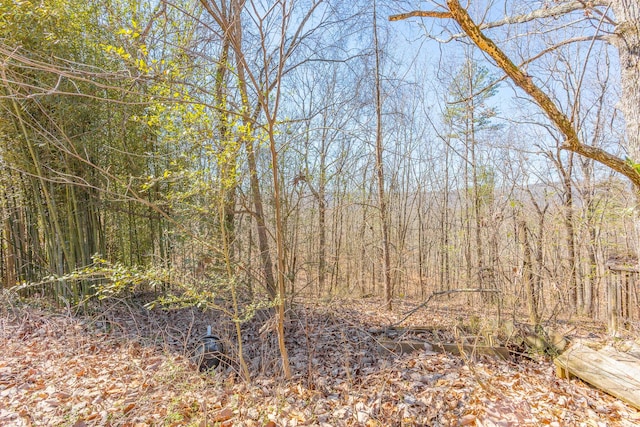 view of local wilderness with a view of trees