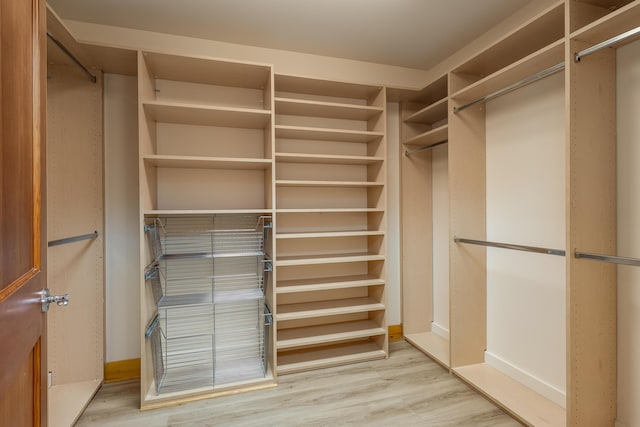 spacious closet featuring light wood finished floors