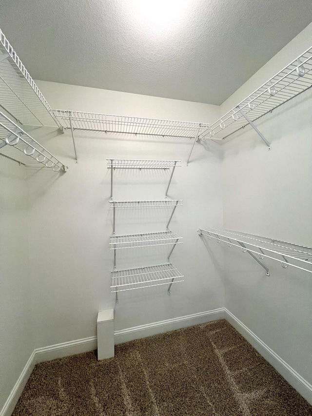 spacious closet featuring carpet