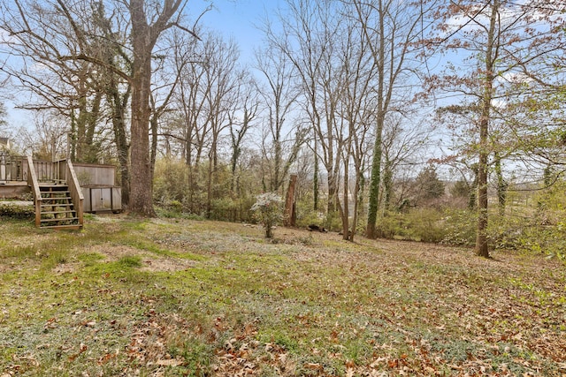 view of yard featuring a wooden deck and stairs