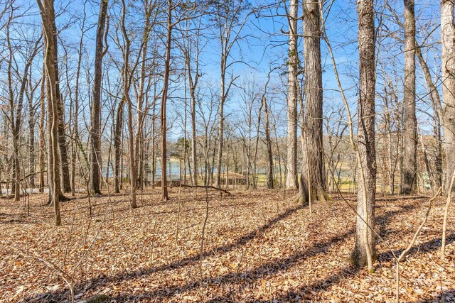 0 Dogwood Dr, Harrison, TN 37341