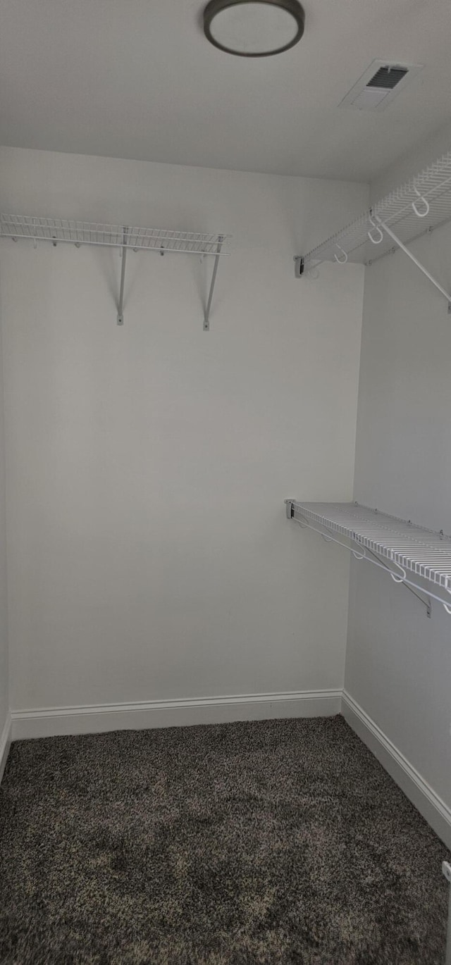 spacious closet featuring carpet and visible vents