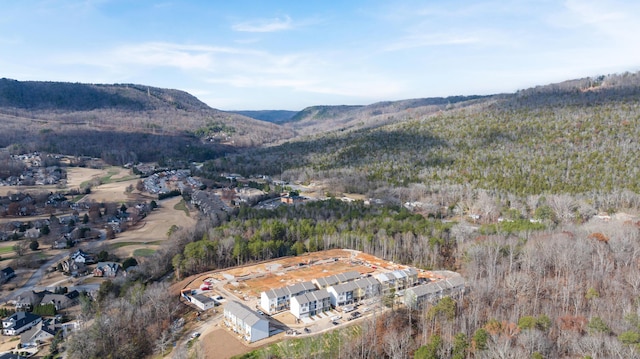 property view of mountains featuring a forest view