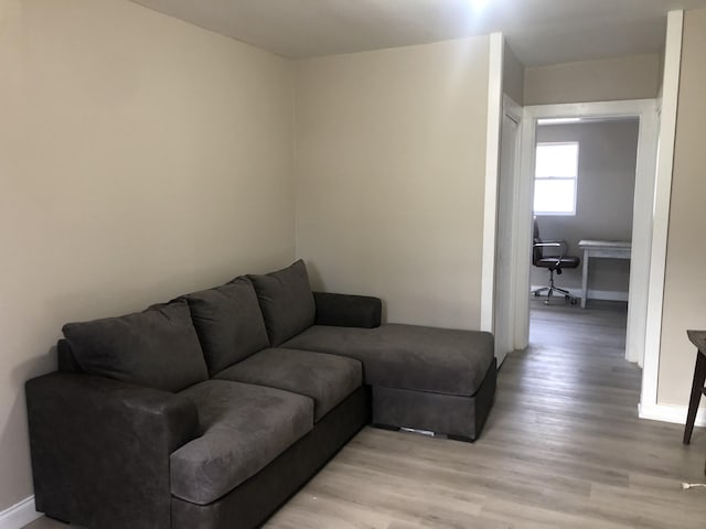 living area featuring baseboards and light wood-style floors