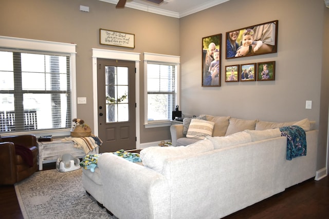 living area featuring dark wood-style floors, ceiling fan, baseboards, and crown molding