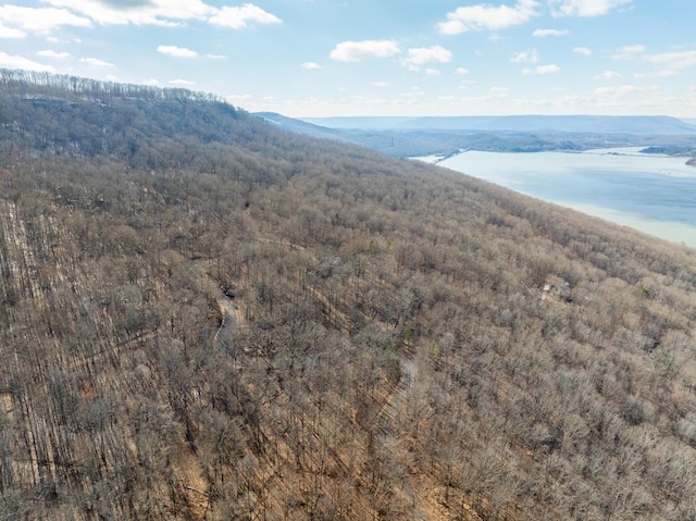 Listing photo 3 for 0 Scenic Dr Unit 5, South Pittsburg TN 37380