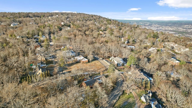 bird's eye view with a forest view