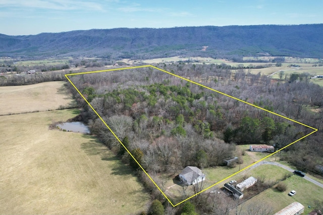 aerial view with a mountain view and a rural view