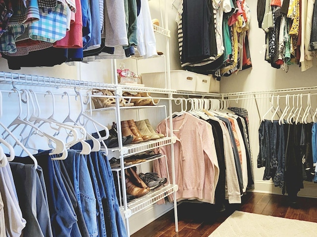 spacious closet featuring dark wood finished floors