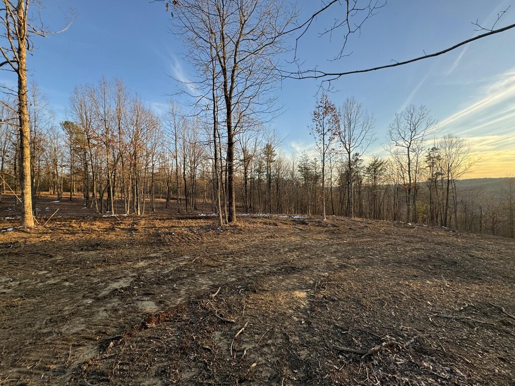 0 Hobbstown Rd Lot 3, Dunlap, TN 37327