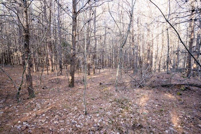 Listing photo 2 for 3ACRES Denvil Dr, Trenton GA 30752