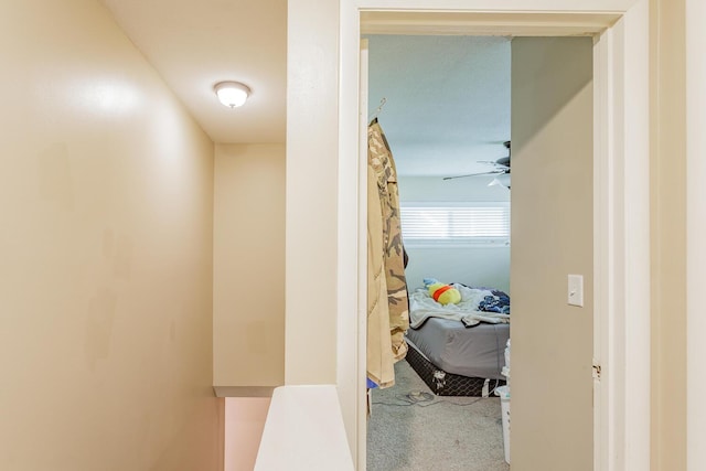 hallway featuring carpet flooring