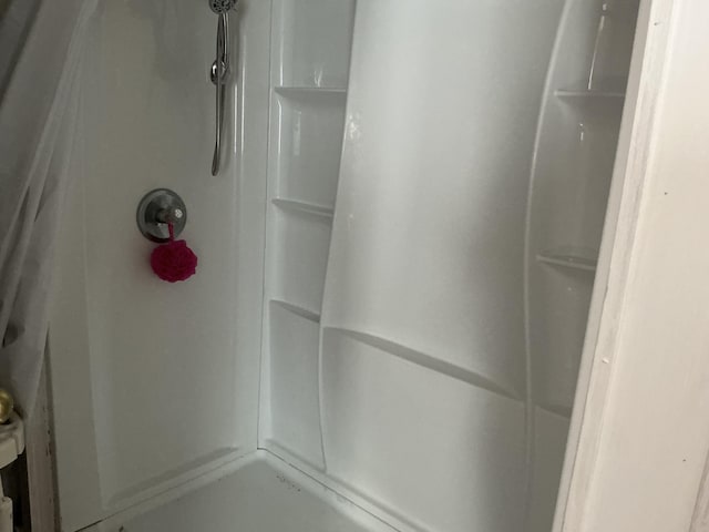 interior details with walk in shower