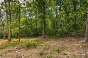 6521 Shelter Cove Dr, Hixson TN, 37343 land for sale