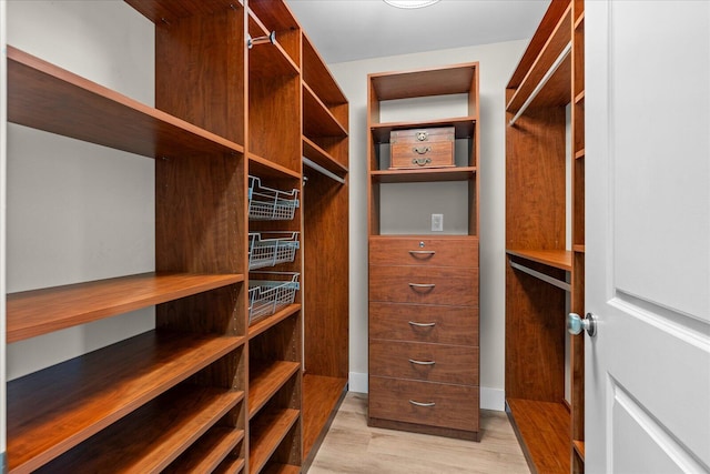 spacious closet featuring light wood-type flooring