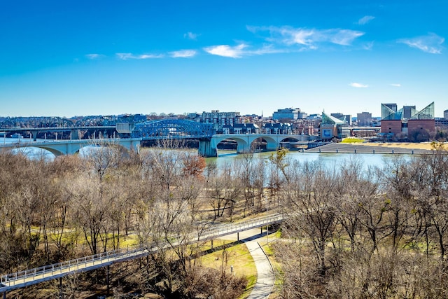 property view of water featuring a city view