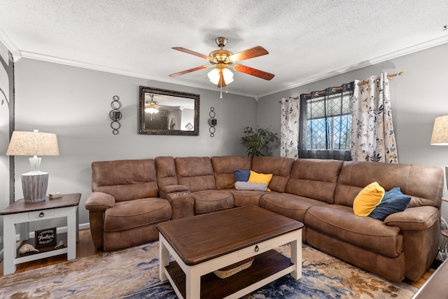 living room featuring a textured ceiling, ceiling fan, and crown molding