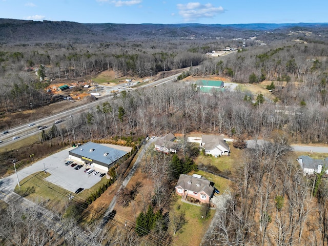 aerial view