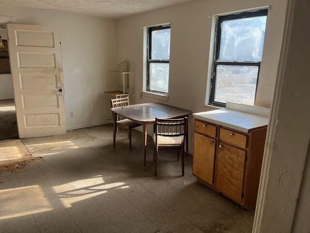 dining room with a healthy amount of sunlight, light floors, and a textured ceiling