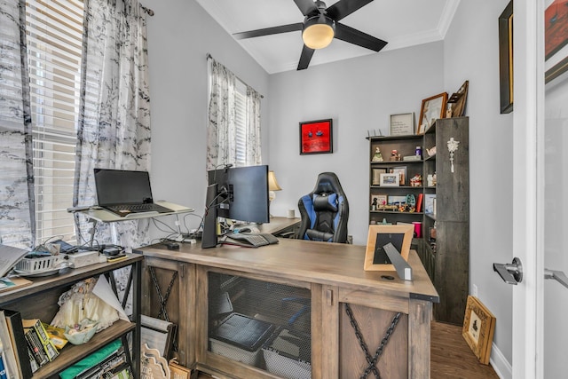 office with ceiling fan, ornamental molding, and wood finished floors