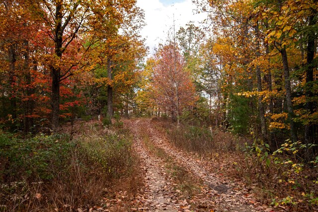 0 Valley Rim Dr, Chickamauga, GA 30707