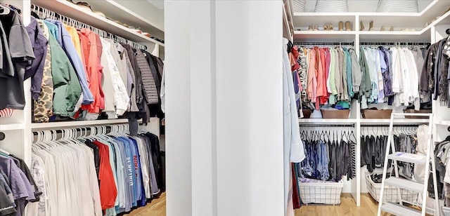 spacious closet with wood finished floors