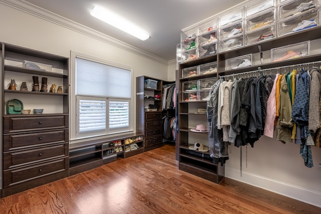 619 Hill Pointe Ln, Chattanooga, TN 37405 - walk in closet featuring wood finished floors