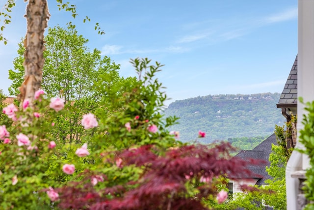 619 Hill Pointe Ln, Chattanooga, TN 37405 - view of yard with a mountain view