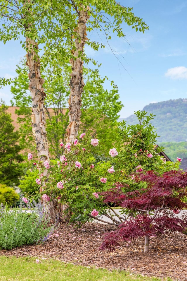 619 Hill Pointe Ln, Chattanooga, TN 37405 - view of yard with a mountain view