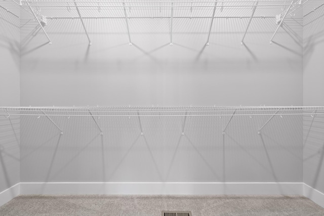 spacious closet featuring carpet floors