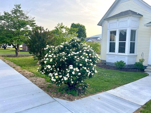 view of side of home with a yard