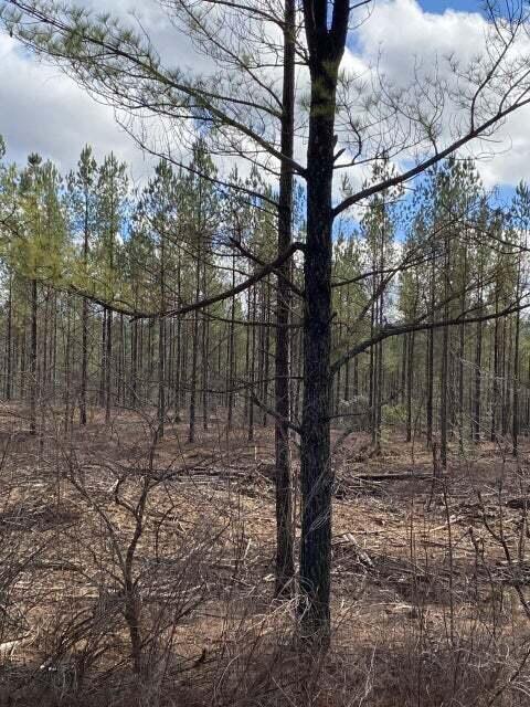 Listing photo 3 for LOT7 Thomas Springs Rd Lot 7, Crossville TN 38572