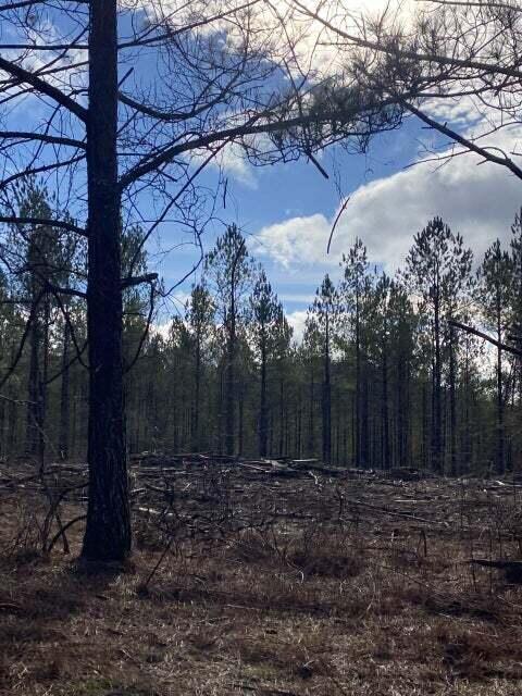 LOT7 Thomas Springs Rd Lot 7, Crossville, TN 38572