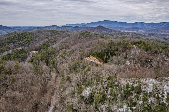 mountain view with a wooded view