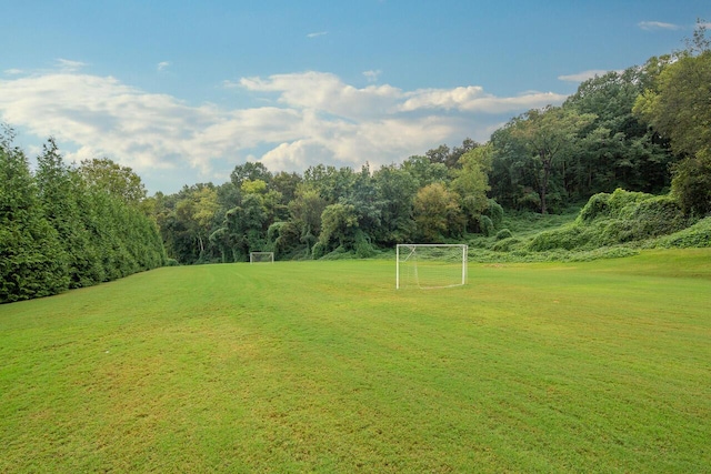 view of yard with a forest view