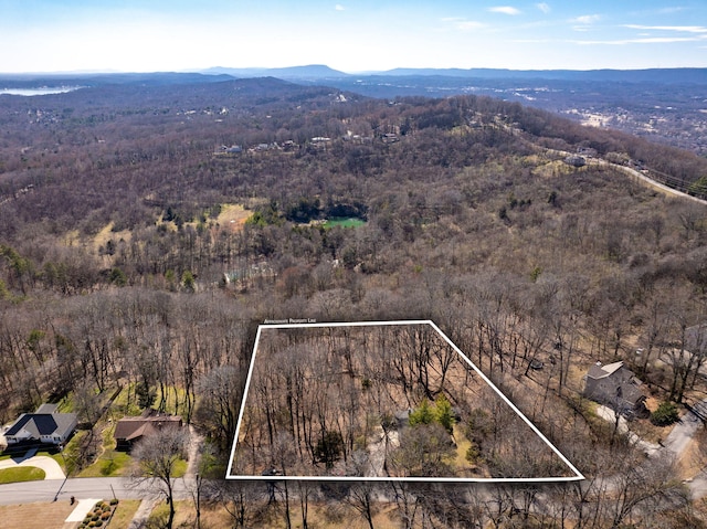 birds eye view of property with a forest view and a mountain view