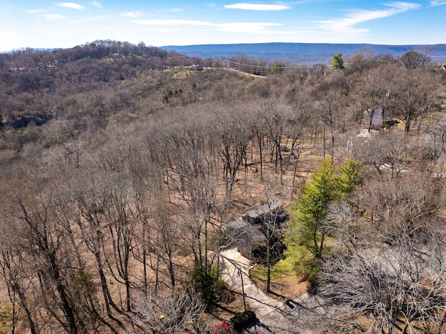 bird's eye view featuring a mountain view and a forest view