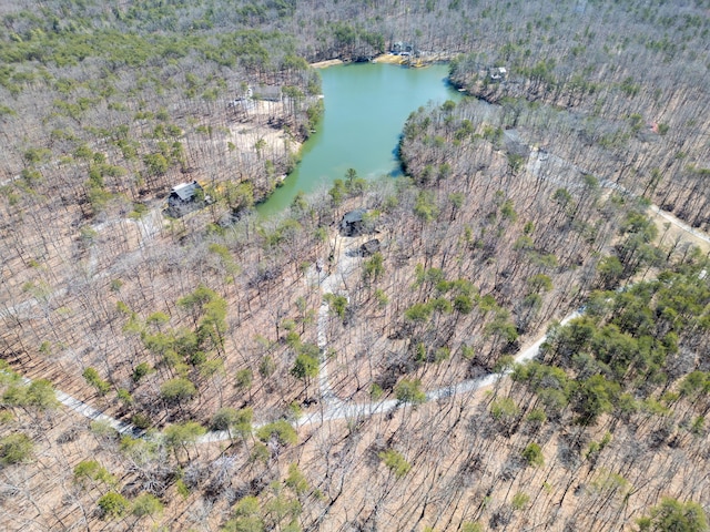 bird's eye view with a wooded view and a water view